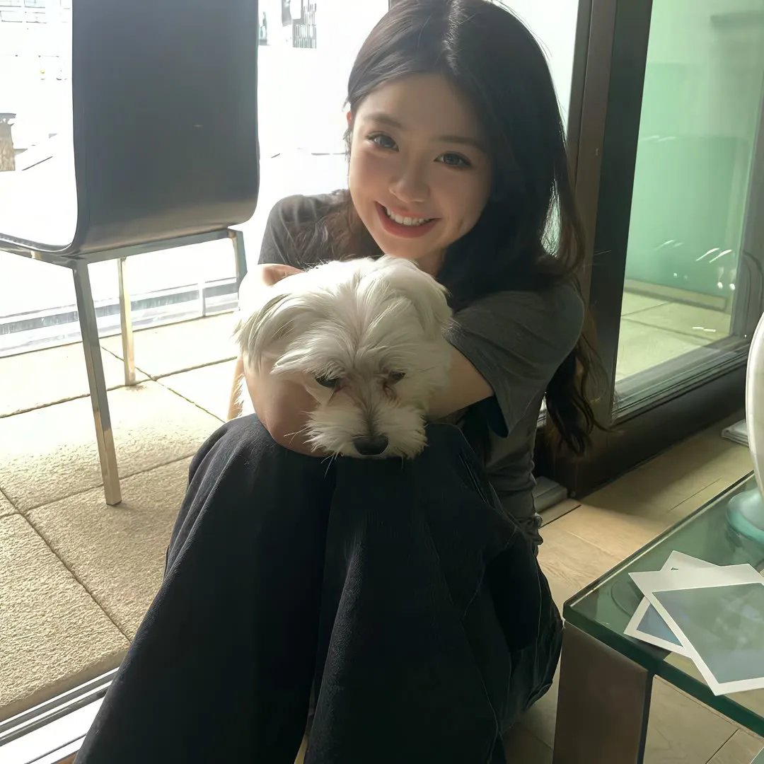 历险小恐龙